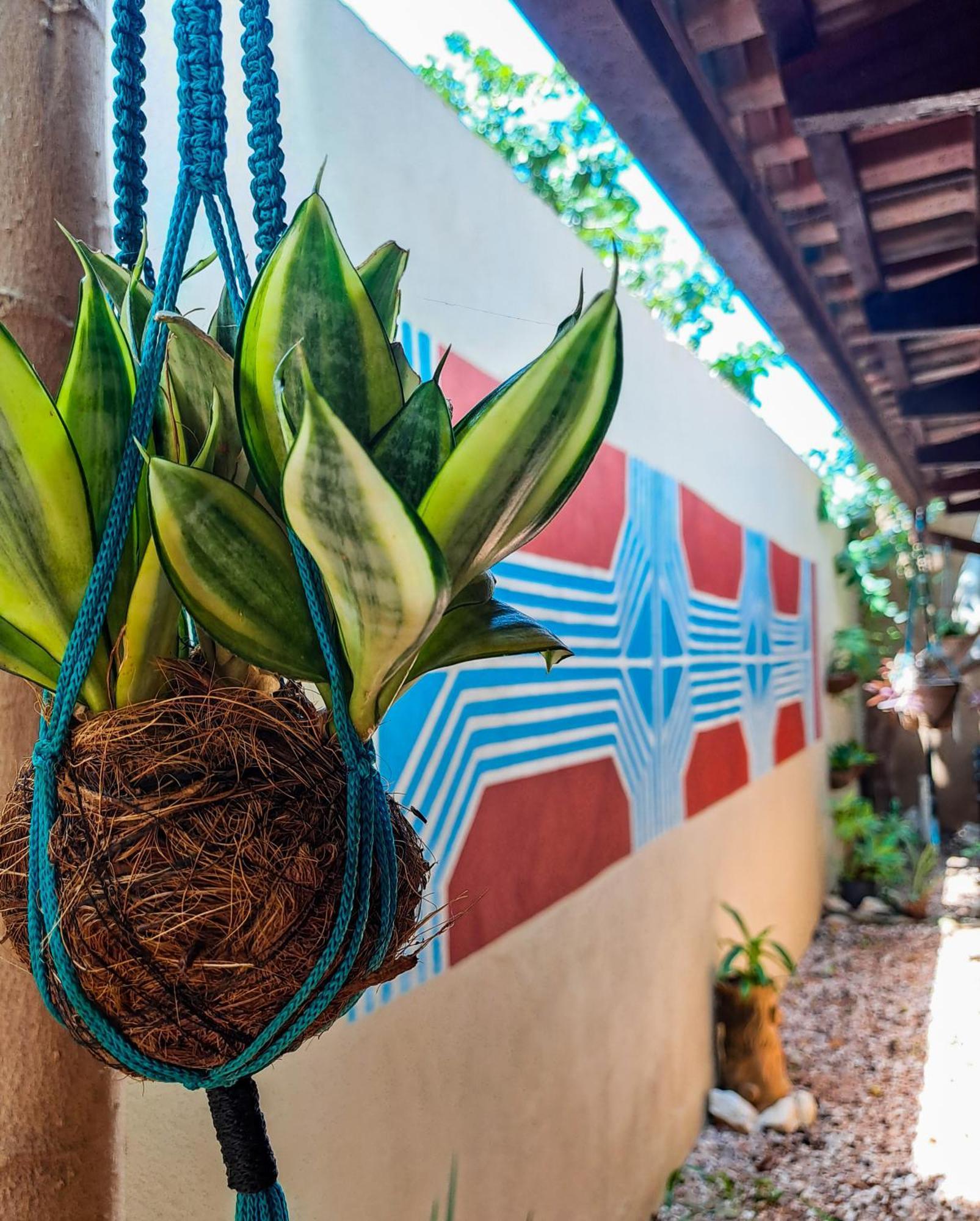 São Jorge Savana Hostel מראה חיצוני תמונה
